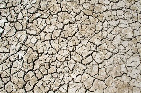 Cracks in mud Stock Photos