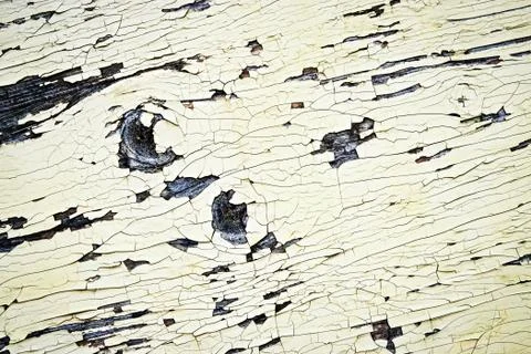 Cracks on the paint timber Stock Photos