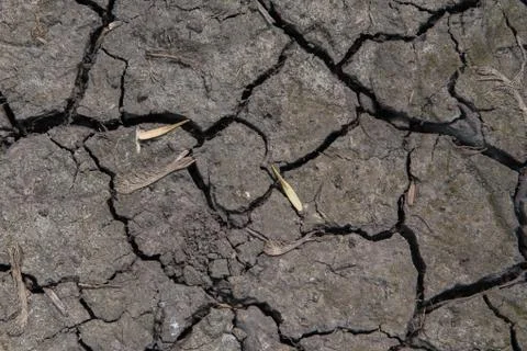 Cracks in Soil Stock Photos