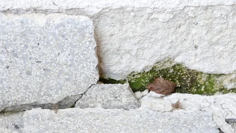 Cracks in stone tile Stock Footage 88784418