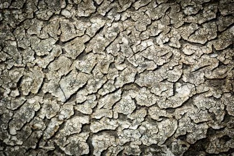 Cracks from the sun on a black polymer coating Stock Photos