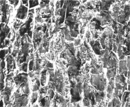 Cracks texture overlay. Vector background Stock Illustration