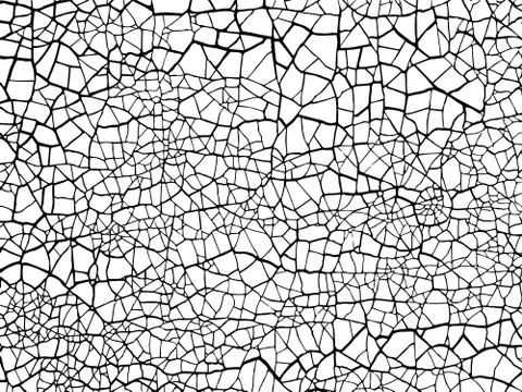 The cracks texture white and black. Vector background. Stock Illustration