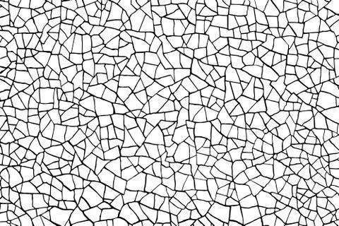 The cracks texture white and black. Vector background. Stock Illustration