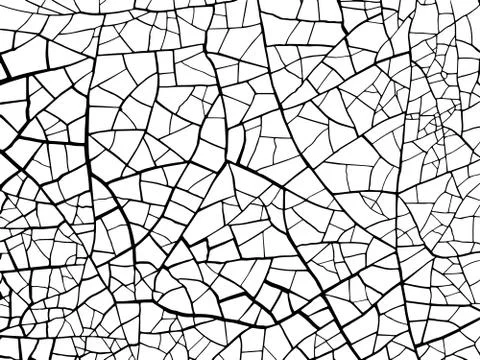 The cracks texture white and black. Vector background. Stock Illustration