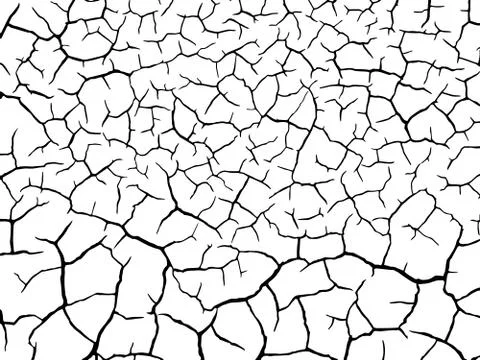 The cracks texture white and black. Vector background. Stock Illustration