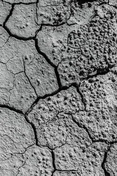A cracky patch of mud, on the ground in the desert Foto stock