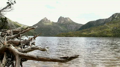 Cradle Mountain in Tasmania Stockbeeldmateriaal 683642