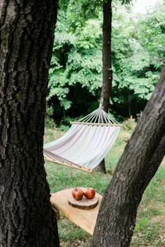 Cradle net in the backyard by the forest Stock Photos