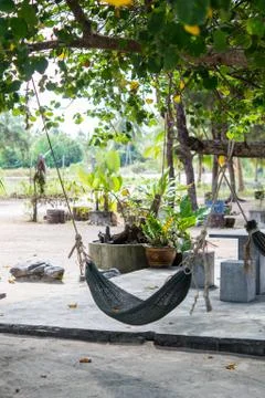 Cradles under a tree Stock Photos