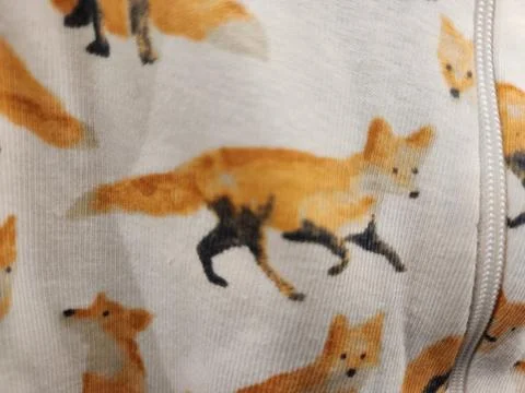 Craft Art Design  Fox Stock Photos