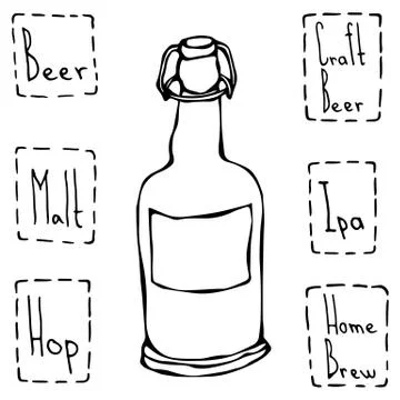 Craft Beer Bottle. Hand Drawn Vector Illustraition. Stock Illustration