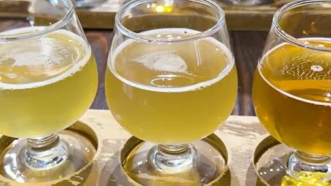 Craft Beer Flight Tasting with Various Ales and Lagers in Brewery Stock Footage 337226205