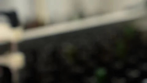 Craft beer production. Conveyor with empty bottles. Stock Footage 256181586