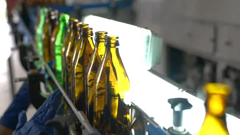 Craft beer production. Conveyor with empty bottles. Stock Footage 256181609