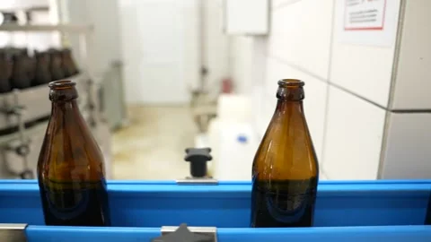 Craft beer production. Conveyor with empty bottles. Stock Footage 256181899