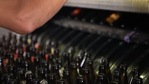 Craft beer production. Conveyor with empty bottles. Stock Footage 256182105