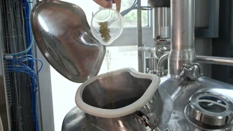 Craft beer production. Stock Footage 247141549