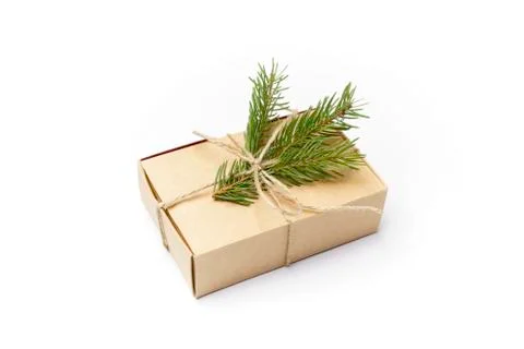 Craft box with pine tree branch isolated on white Stock Photos