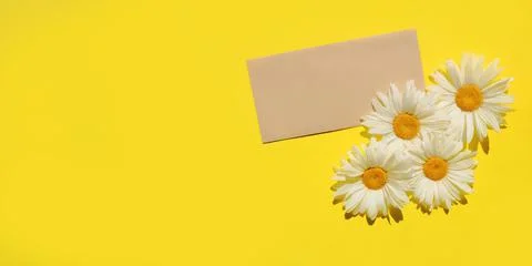 Craft brown envelope and four white daisies on yellow background, banner Stock Photos