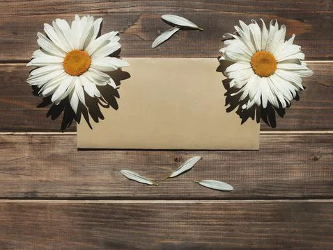Craft brown envelope and two white daisies on old wooden background with peta Stock Photos