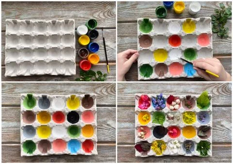 Craft for children from egg processing box using natural material. Stock Photos