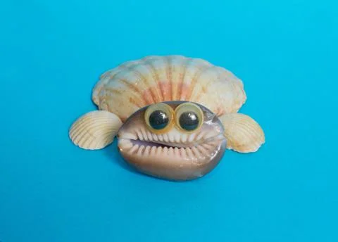 Craft made of shells on a blue background. Stock Photos