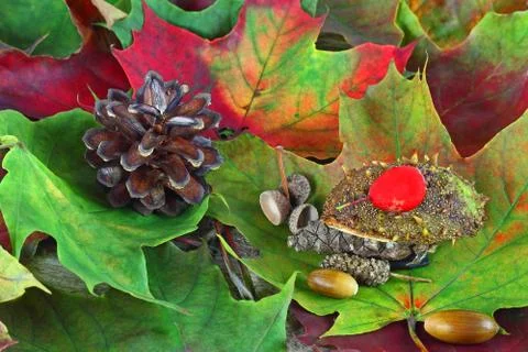 Craft from natural material Stock Photos