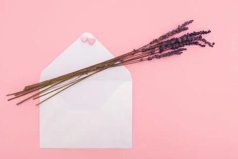 Craft opened paper envelope for mail post and lavender isolated on the pink Stock Photos