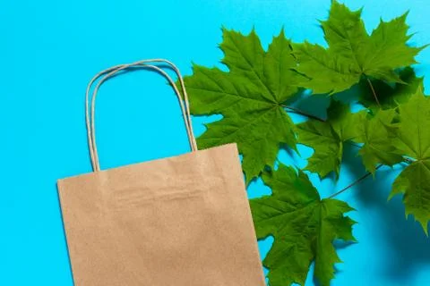 Craft package on a blue background with a frame of green sheets. Foto stock