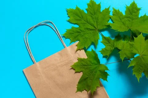 Craft package on a blue background with a frame of green sheets. Stock Photos
