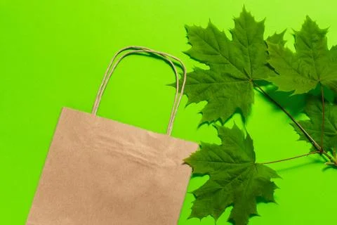 Craft package on a green background with a frame of maple leaves. Foto stock