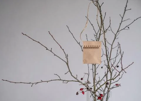 Craft paper handmade Envelope hangs on a tree branch Stock Photos