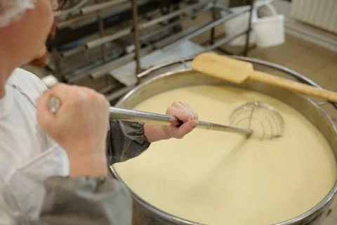 Crafting Cheese in Dairy Processing Facility Stock Photos