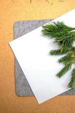 Crafting with evergreen branches on a blank sheet during winter creativity .. Stock Photos