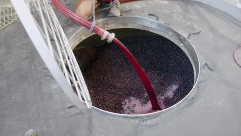 Crafting fine wine using innovative wine making machine technology Stock Footage 321404984