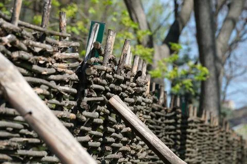 Crafting a rustic fence from branches in a sunlit garden space Stock Photos