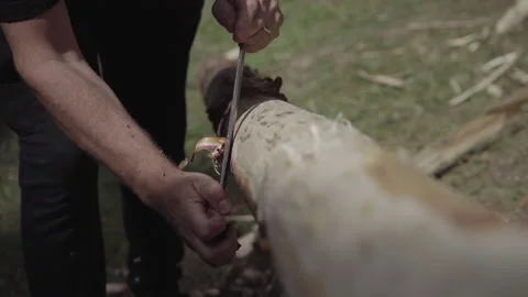 Craftman Removes Tree Bark Stock-Footage 237613639