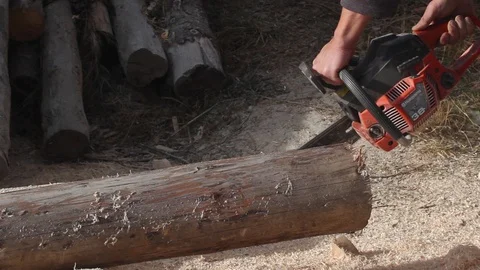 Craftsman cutting wood using chainsaw Stock Footage 102583807