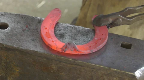 A craftsman farrier replace horseshoes Stock Footage 62478321