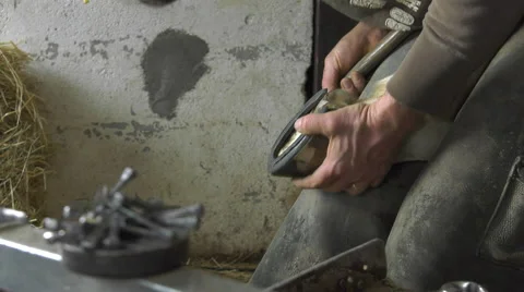 A craftsman farrier replace horseshoes Stock Footage 62478340