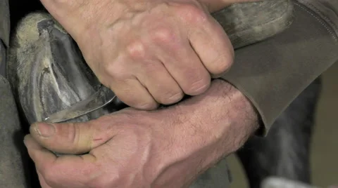 A craftsman farrier replace horseshoes Stock Footage 62478343