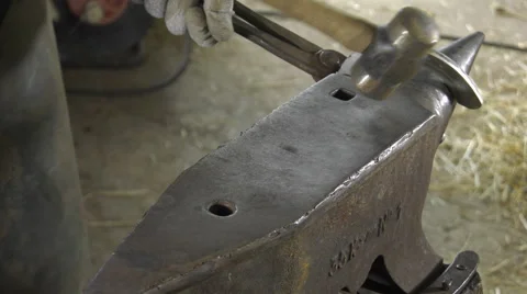 A craftsman farrier replace horseshoes Stock Footage 62478390