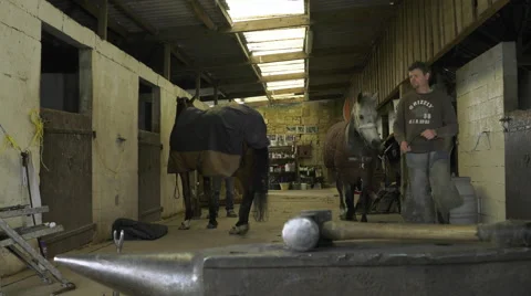 A craftsman farrier replace horseshoes Stock Footage 62478396