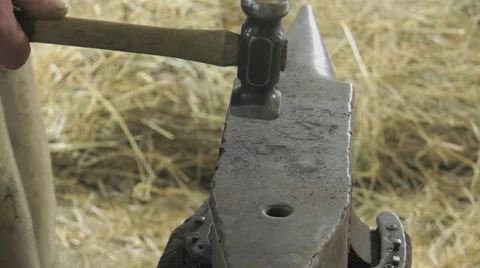 A craftsman farrier replace horseshoes Stock Footage 62478554