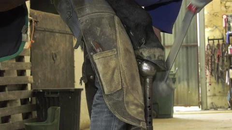 A craftsman farrier replace horseshoes Stock Footage 62478579