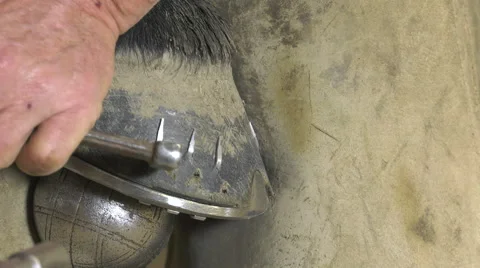 A craftsman farrier replace horseshoes Video stock 62478590