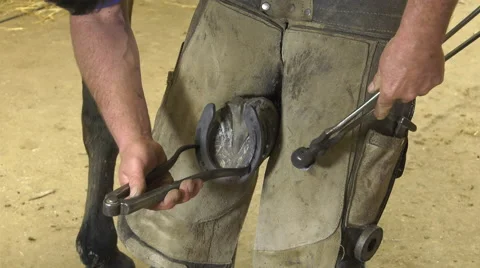 A craftsman farrier replace horseshoes Video stock 62478669