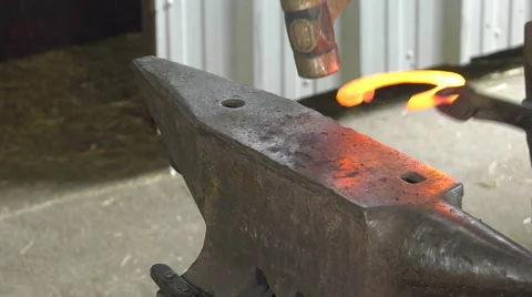 A craftsman farrier replace horseshoes Video stock 62478761