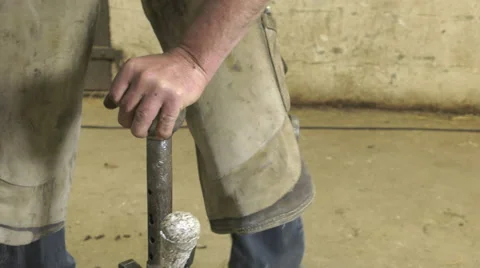 A craftsman farrier replace horseshoes Video stock 62478775